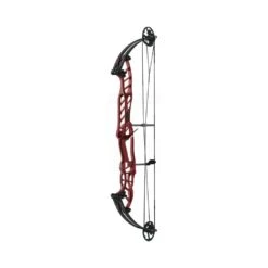 Hoyt Stratos 40 SVX Compound Bows -Famous Archery Shop 40svxred 2