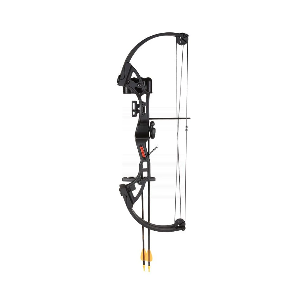 Bear Brave 3 Compound Bow 4 Bear Brave 3 Compound Bow - Image 2