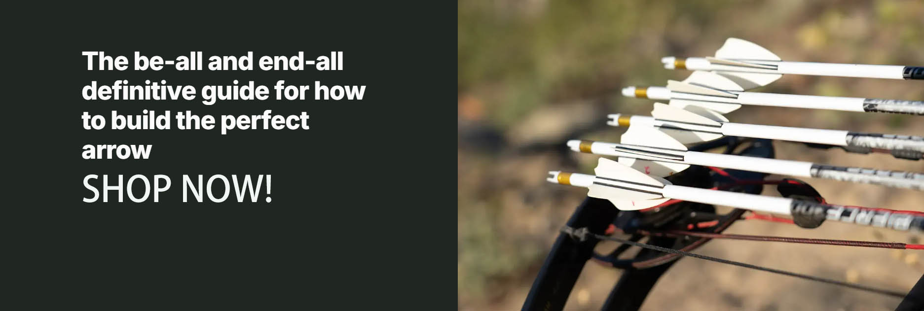 Famous Archery Shop -Famous Archery Shop DXGDG