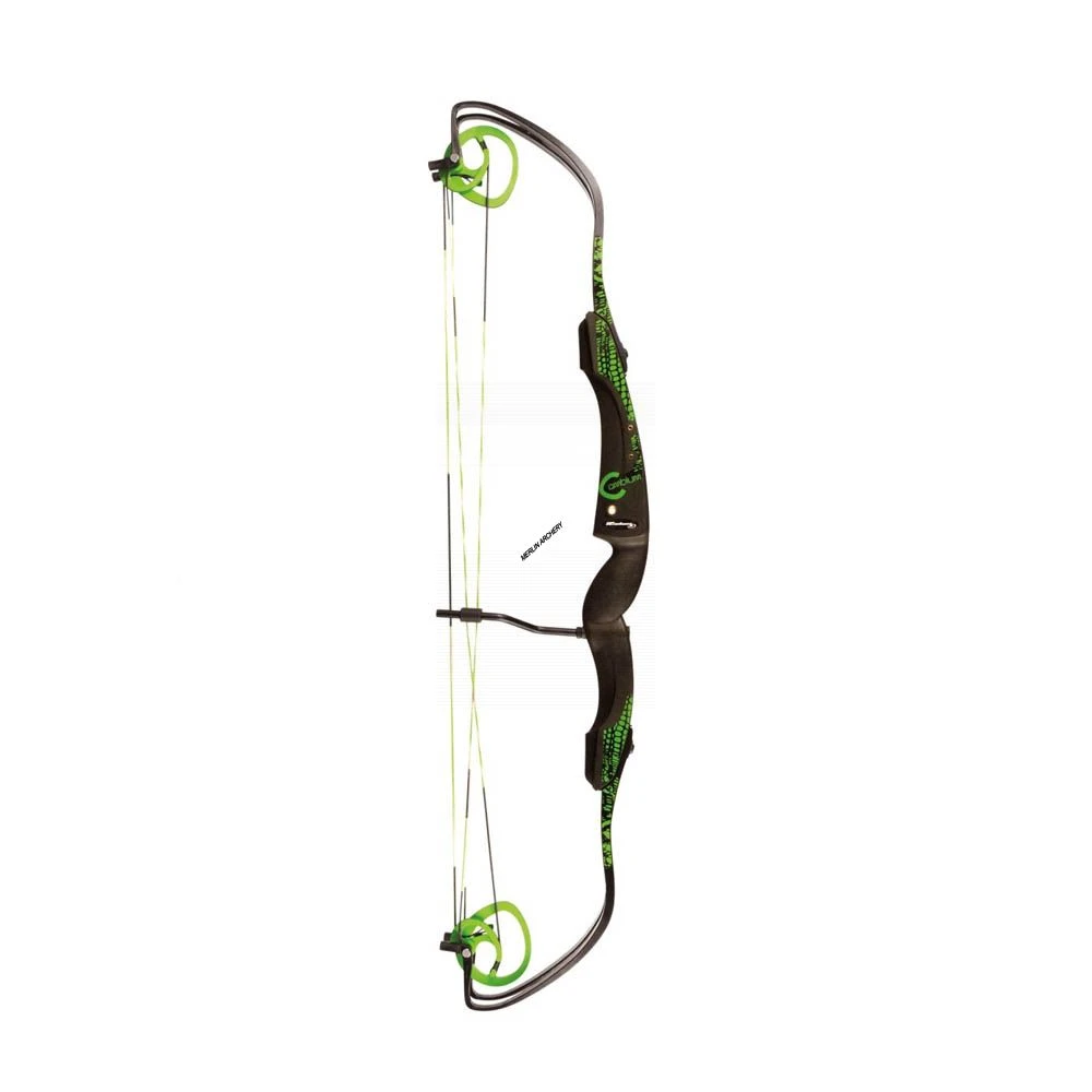 Rolan Cambium Compound Bow 6 Rolan Cambium Compound Bow - Image 4